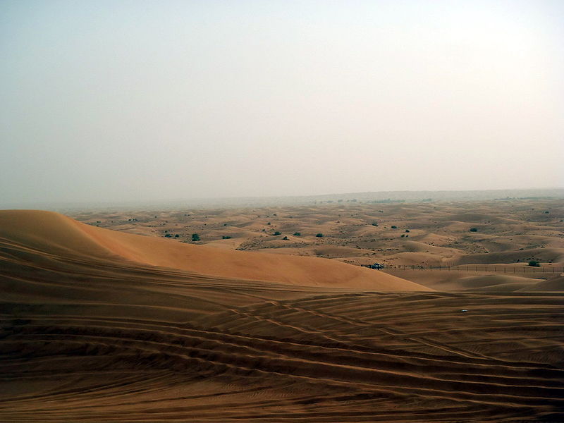 Файл:UAE Safari 5 Tatiana Kuzmina.jpg