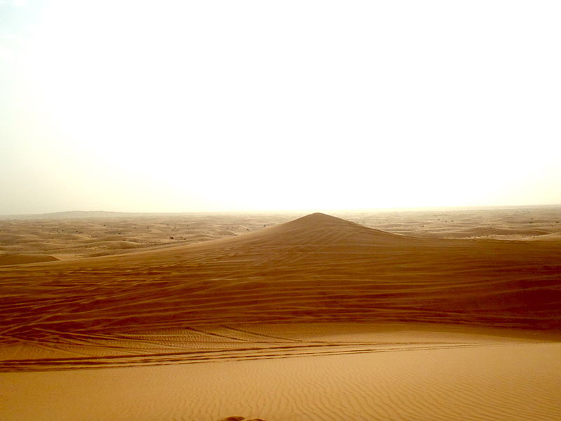 Файл:UAE Safari 6 Tatiana Kuzmina.jpg