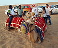 UAE Safari 7 Tatiana Kuzmina.jpg
