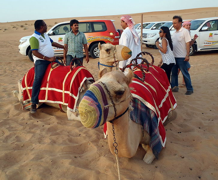 Файл:UAE Safari 7 Tatiana Kuzmina.jpg