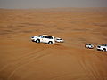 UAE Safari 3 Tatiana Kuzmina.jpg